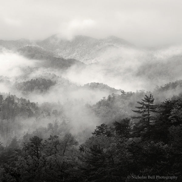 Smokey Mountains⁠ ⁠ Repost By: @americanmamushi⁠ ⁠ Spring